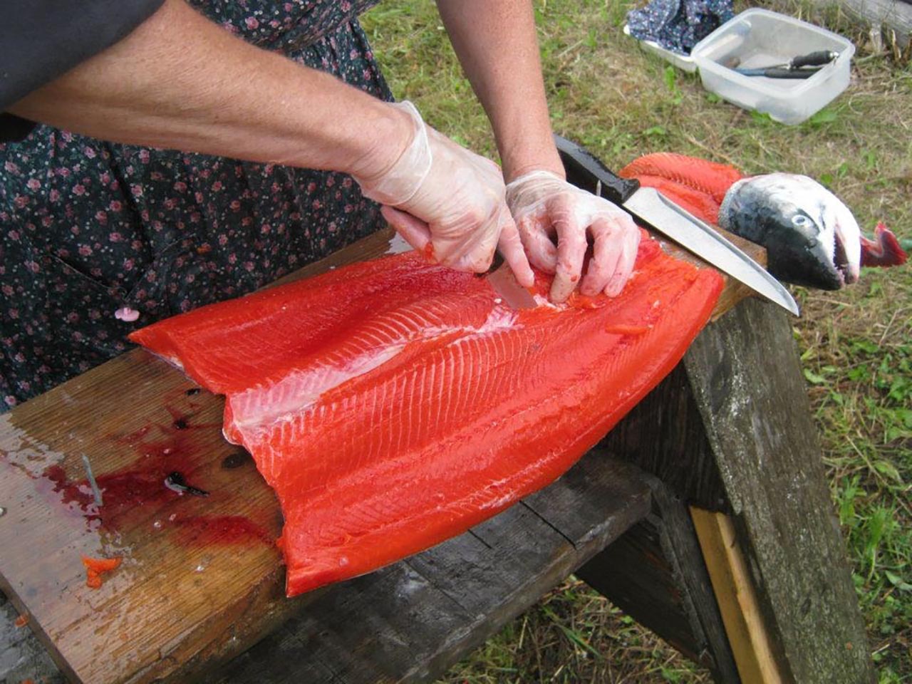 Person filleting a fish.