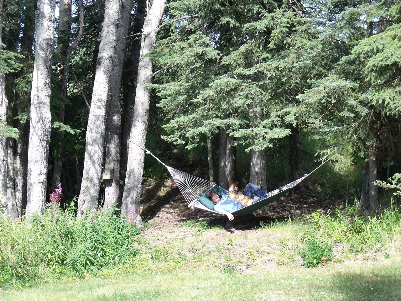 Guest in a hammock.